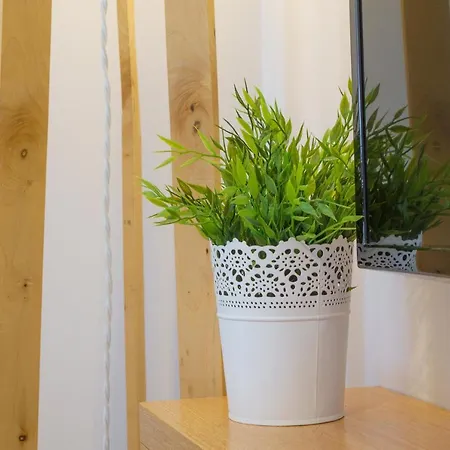 Apartmán Rozeta - Zakopane